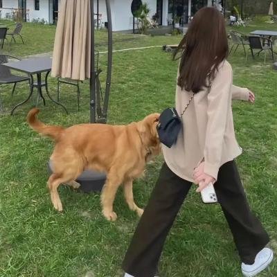 铁骑军魂